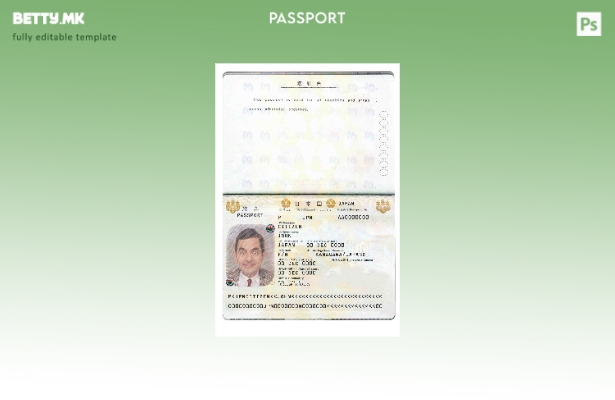 Шаблон за јапонски пасош во модерен стил 1